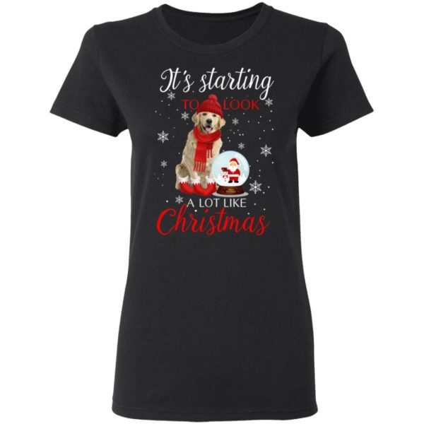 redirect11182020041137 1 600x600px Golden Retriever It’s Starting To Look A Lot Like Christmas Shirt
