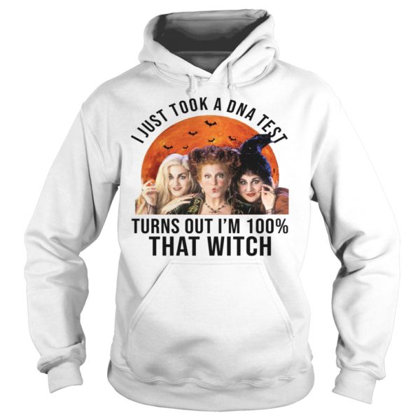 Hocus Pocus I Just Took A DNA Test Turns Out I'm 100% That Witch Shirt Hoodies
