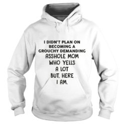 I DIDN'T PLAN ON BECOMING A GROUCHY DEMANDING Hoodies