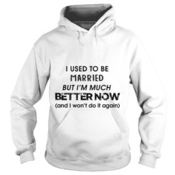 I Used To Be Married But I'm Much Better Now Hoodie
