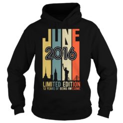 June 2006 Limited Edition 13 Year Of Being Awesome Hoodies