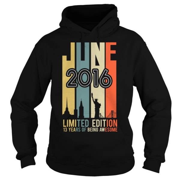 June 2006 Limited Edition 13 Year Of Being Awesome Hoodies