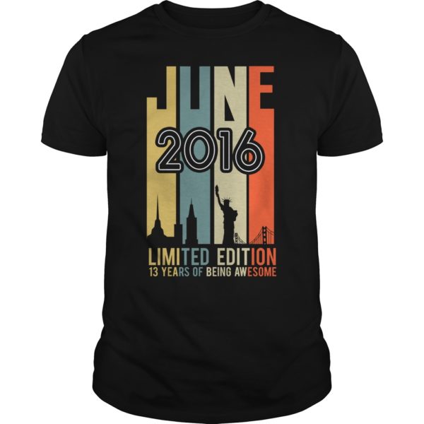 June 2006 Limited Edition 13 Year Of Being Awesome T - Shirt