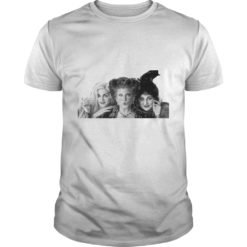 You Coulda Had A Bad Witch Halloween Funny Shirt