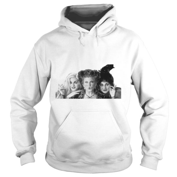 You Coulda Had A Bad Witch Halloween Funny Shirt Hoodies