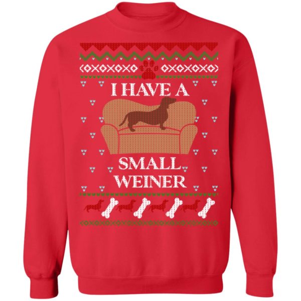 redirect11062021231132 5 600x600px I Have A Small Weiner Dachshund Christmas Sweatshirt