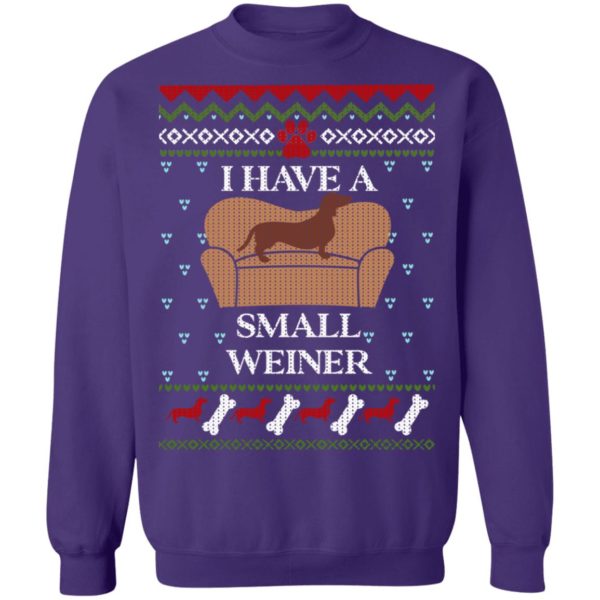 redirect11062021231132 7 600x600px I Have A Small Weiner Dachshund Christmas Sweatshirt