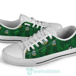 harry potter slytherin shoes low top shoes 4 EtFmS 247x247px Harry Potter Slytherin Shoes Low Top Shoes