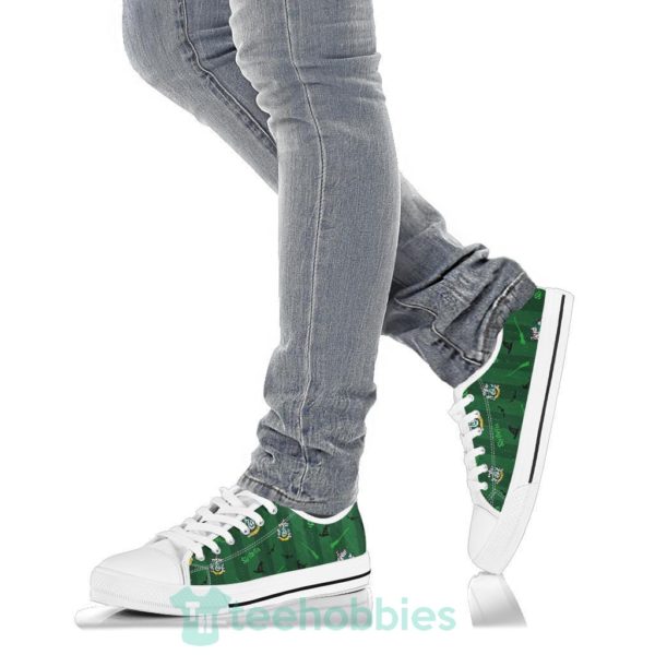 harry potter slytherin shoes low top shoes 5 IJ9nO 600x600px Harry Potter Slytherin Shoes Low Top Shoes