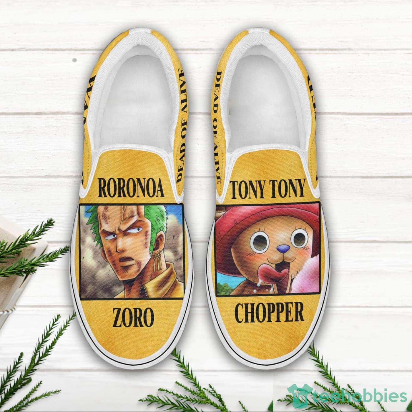 Roronoa Zoro and Tony Tony Chopper