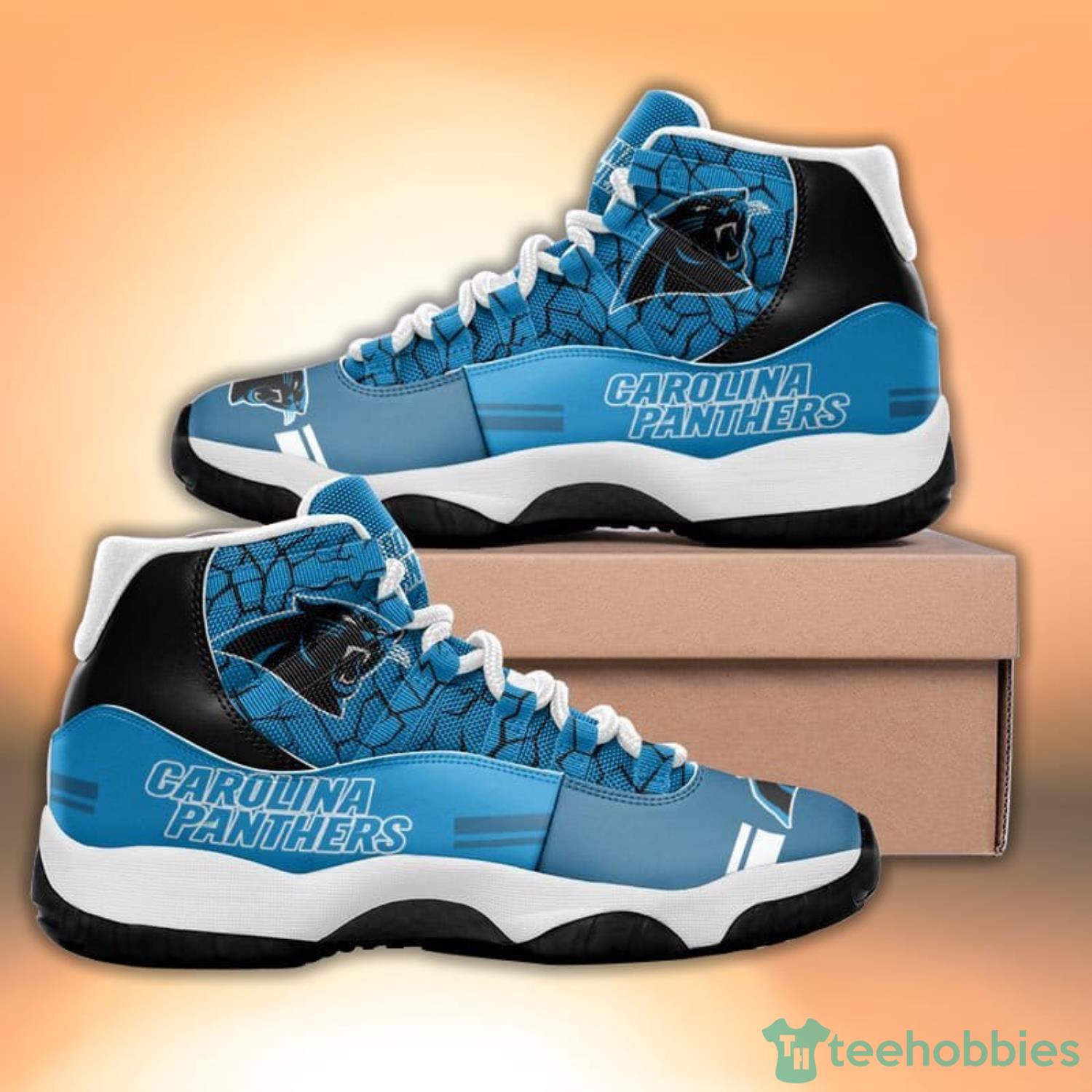 Carolina panthers jordans best sale