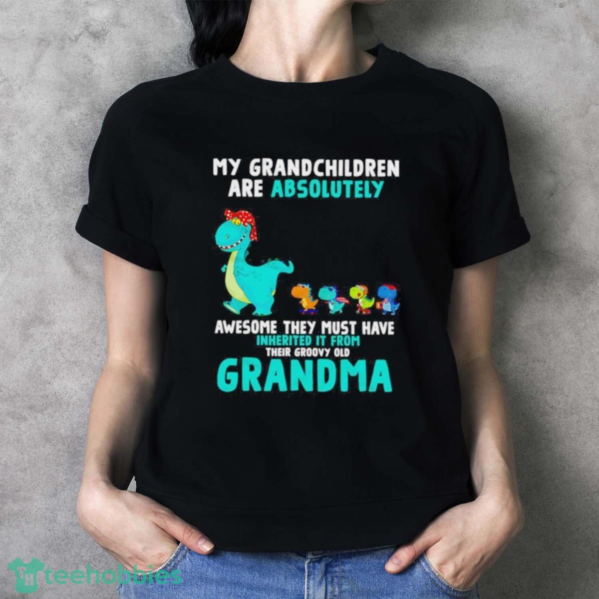 Dragon My Grandchildren Are Absolutely Awesome They Must Have Inherited It From Their Groovy Old Grandma Shirt - Ladies T-Shirt