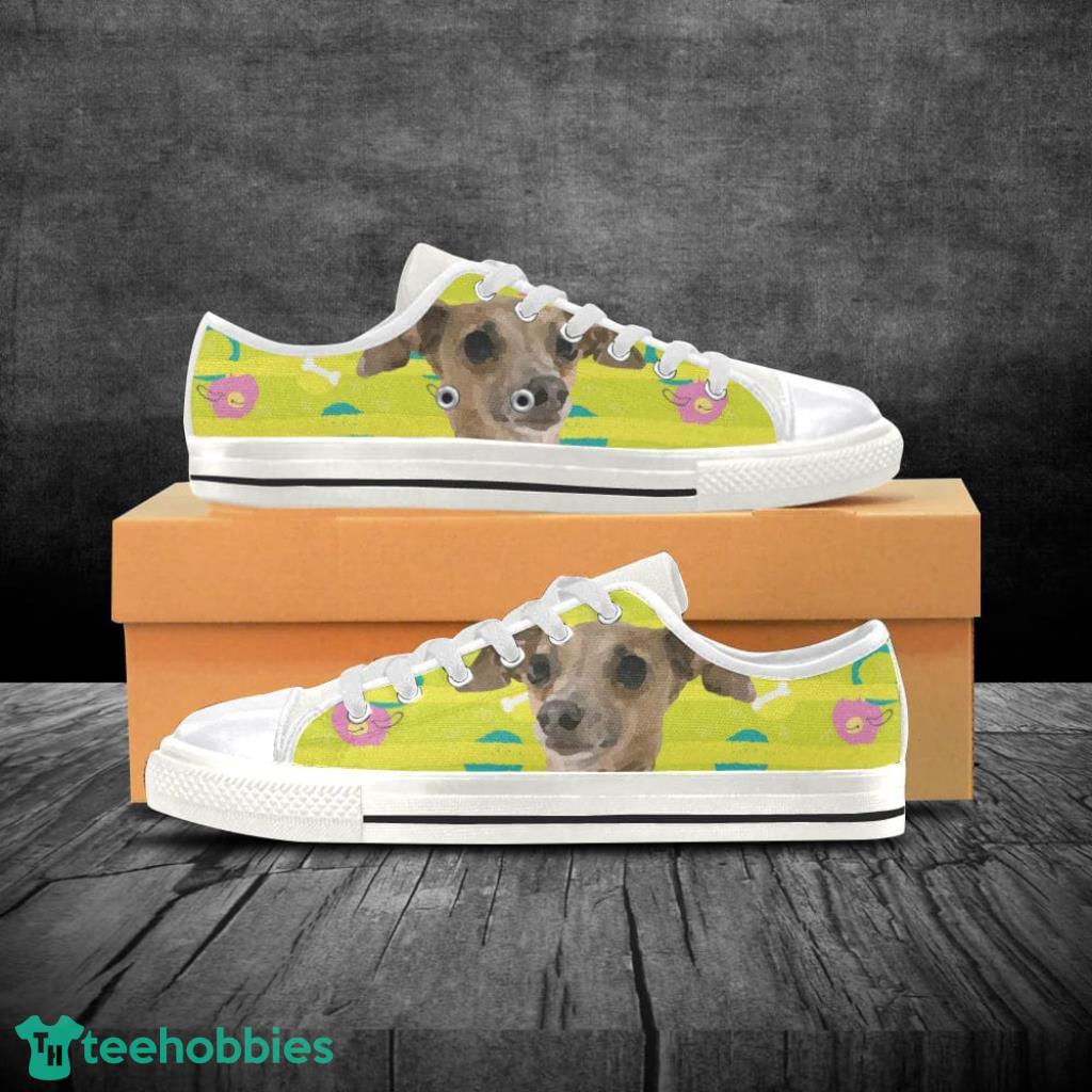 Italian greyhound outlet shoes