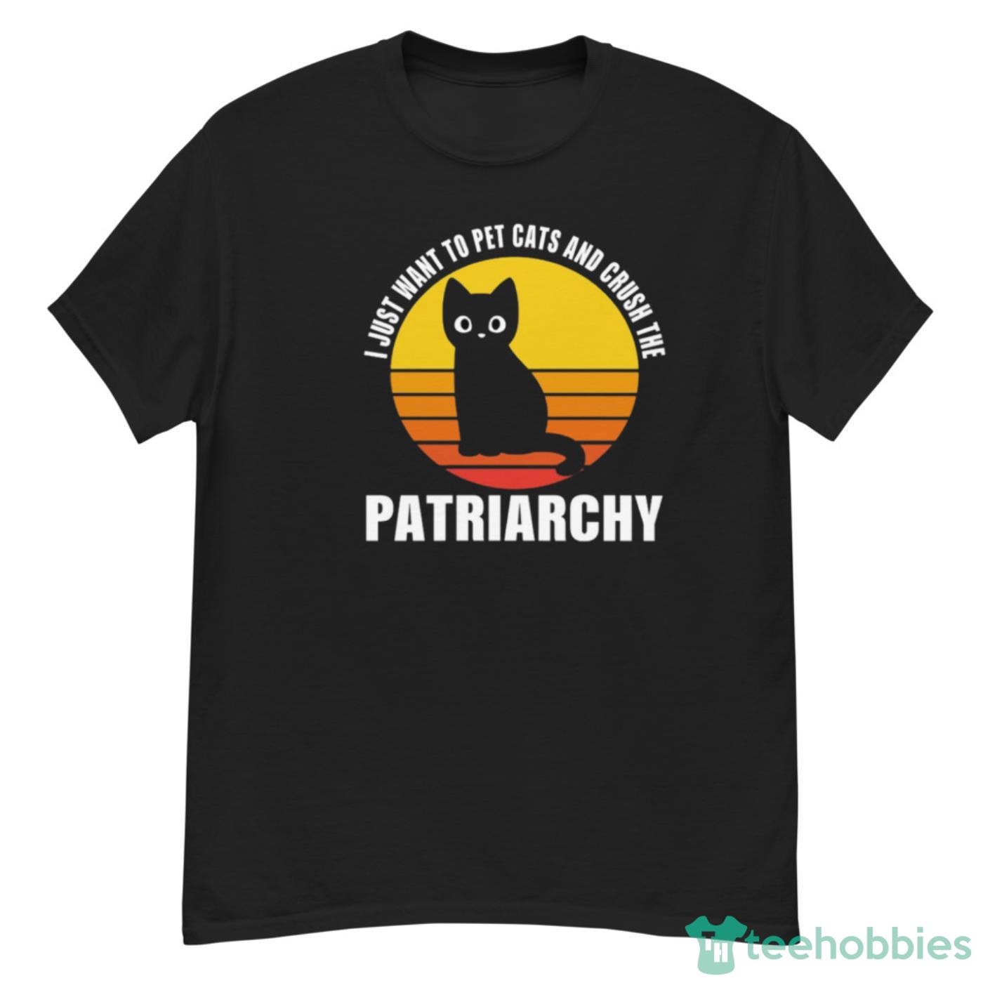 Vintage I Just Want To Pet Cats And Crush The Patriarchy Vintage T-Shirt Cute Gift - G500 Men’s Classic T-Shirt
