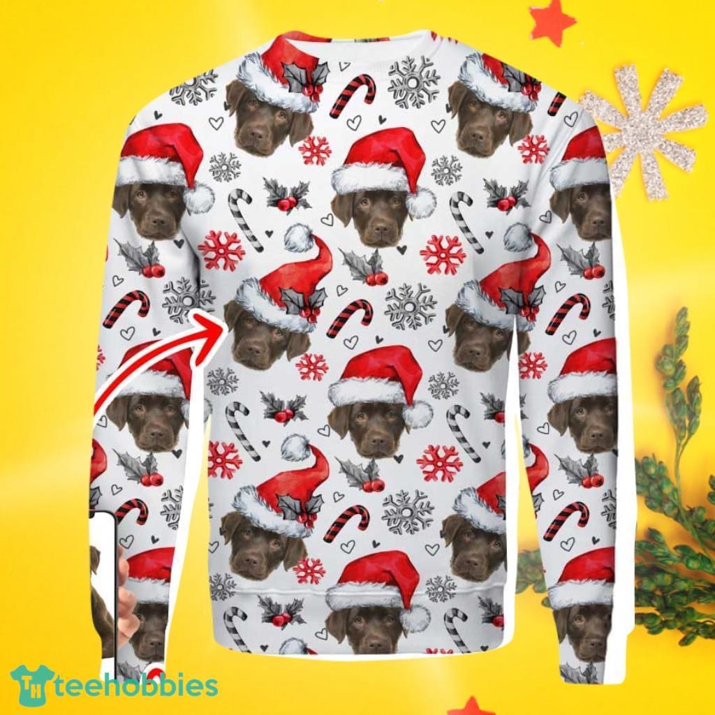 Personalized Sweatshirt With Your Pet's Photo For Men And Women image Personalized Sweatshirt With Your Pet's Photo For Men And Women Product Photo 1