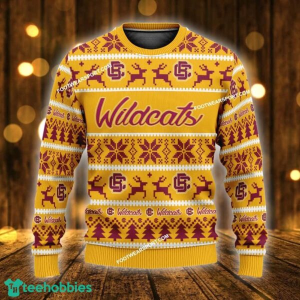 Custom Name NEW Snowfall Bethune Cookman Wildcats Ugly Christmas Sweater Gift For Men And Women - NCAA2 Bethune Cookman Wildcats Ugly Christmas Sweater For Men And Women Photo 1