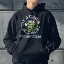 Green Cat With Santa Hat I Hate Everybody But I Love Chicago Bears Christmas T-shirt - Men Black Hoodie